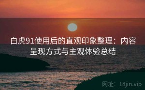 白虎91使用后的直观印象整理：内容呈现方式与主观体验总结