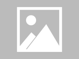 第一次用蘑菇tv时的真实感受：不同入口下的体验差异与变化，蘑菇剧场主页