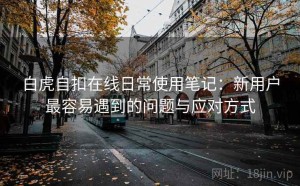 白虎自扣在线日常使用笔记：新用户最容易遇到的问题与应对方式