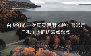 白虎91的一次真实使用体验：普通用户视角下的优缺点盘点