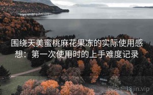 围绕天美蜜桃麻花果冻的实际使用感想：第一次使用时的上手难度记录