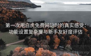第一次用白虎免费网站时的真实感受：功能设置复杂度与新手友好度评估