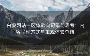 白虎网站一区体验向记录与思考：内容呈现方式与主观体验总结