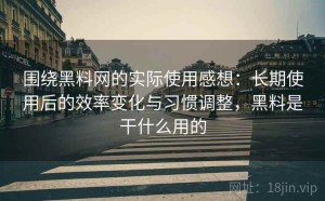 围绕黑料网的实际使用感想：长期使用后的效率变化与习惯调整，黑料是干什么用的