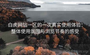 白虎网站一区的一次真实使用体验：整体使用氛围与浏览节奏的感受