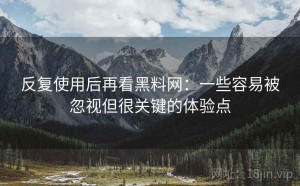 反复使用后再看黑料网：一些容易被忽视但很关键的体验点