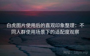 白虎图片使用后的直观印象整理：不同人群使用场景下的适配度观察