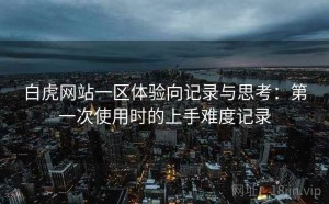 白虎网站一区体验向记录与思考：第一次使用时的上手难度记录