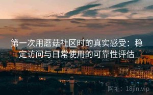 第一次用蘑菇社区时的真实感受：稳定访问与日常使用的可靠性评估
