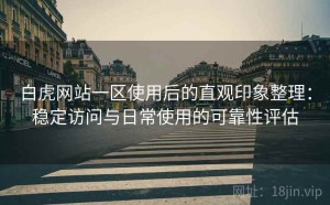 白虎网站一区使用后的直观印象整理：稳定访问与日常使用的可靠性评估