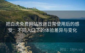 把白虎免费网站放进日常使用后的感受：不同入口下的体验差异与变化