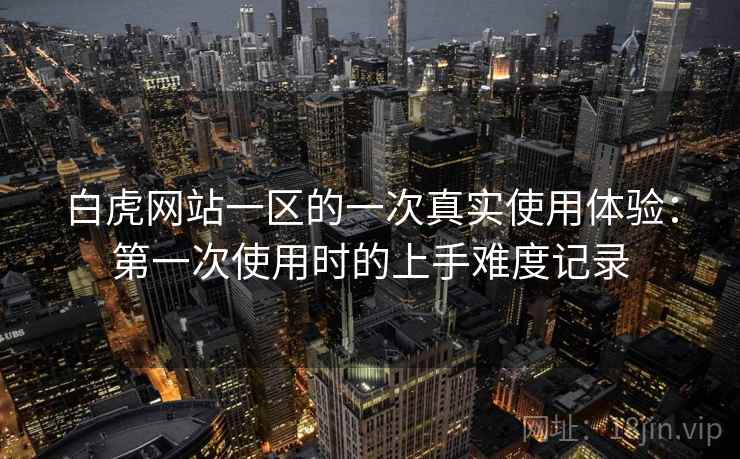白虎网站一区的一次真实使用体验：第一次使用时的上手难度记录