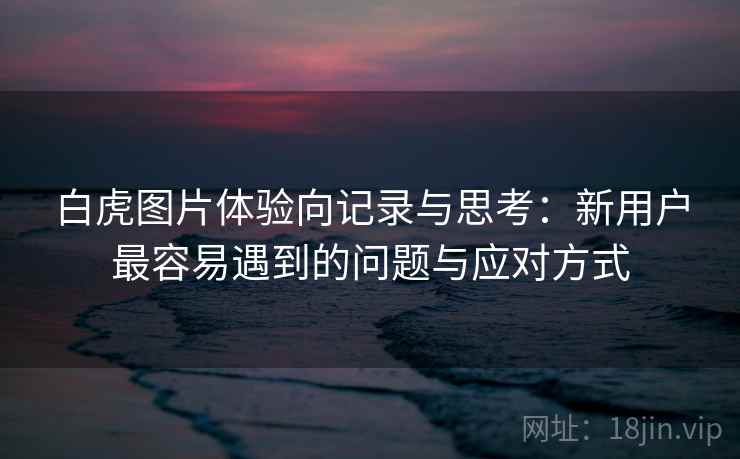 白虎图片体验向记录与思考：新用户最容易遇到的问题与应对方式