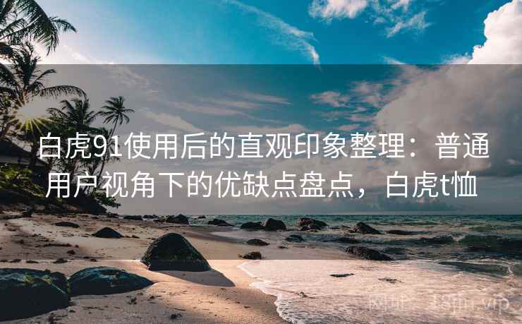 白虎91使用后的直观印象整理：普通用户视角下的优缺点盘点，白虎t恤