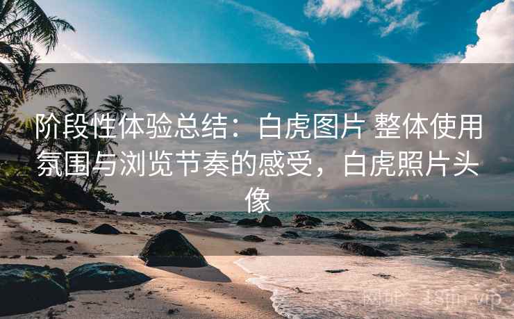 阶段性体验总结:白虎图片 整体使用氛围与浏览节奏的感受,白虎照片头像 阶段性体验总结:白虎图片 整体使用氛围与浏览节奏的感受,白虎照片头像