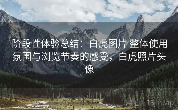 阶段性体验总结:白虎图片 整体使用氛围与浏览节奏的感受,白虎照片头像 阶段性体验总结:白虎图片 整体使用氛围与浏览节奏的感受,白虎照片头像