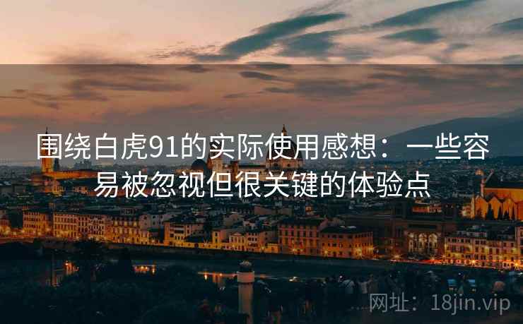 围绕白虎91的实际使用感想：一些容易被忽视但很关键的体验点