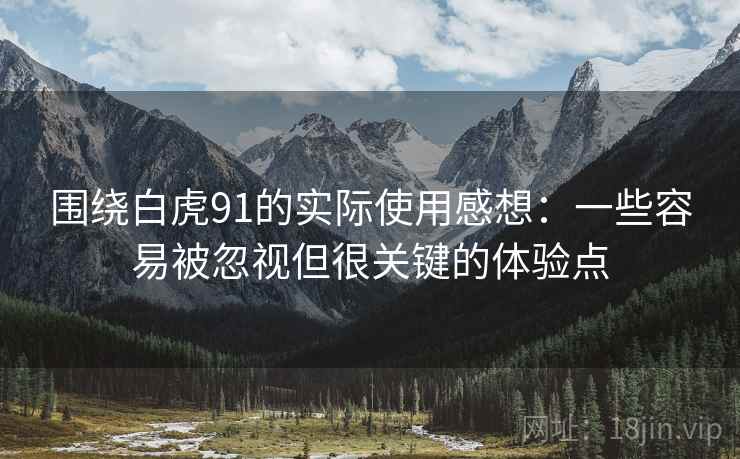 围绕白虎91的实际使用感想：一些容易被忽视但很关键的体验点