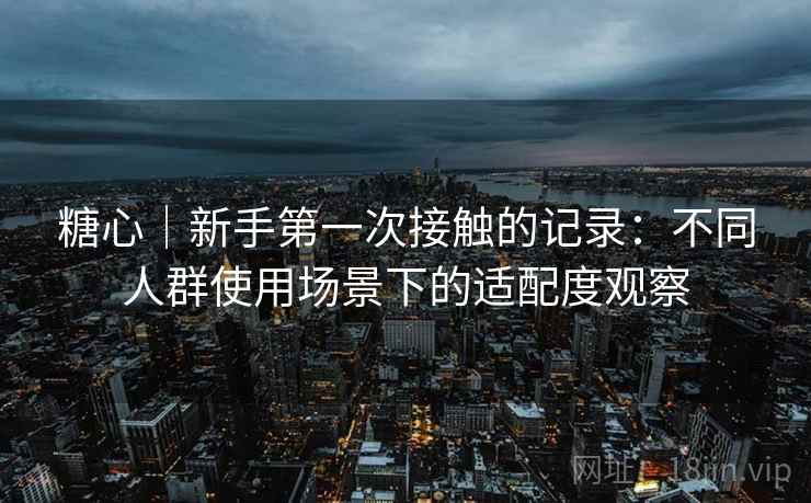 糖心｜新手第一次接触的记录：不同人群使用场景下的适配度观察
