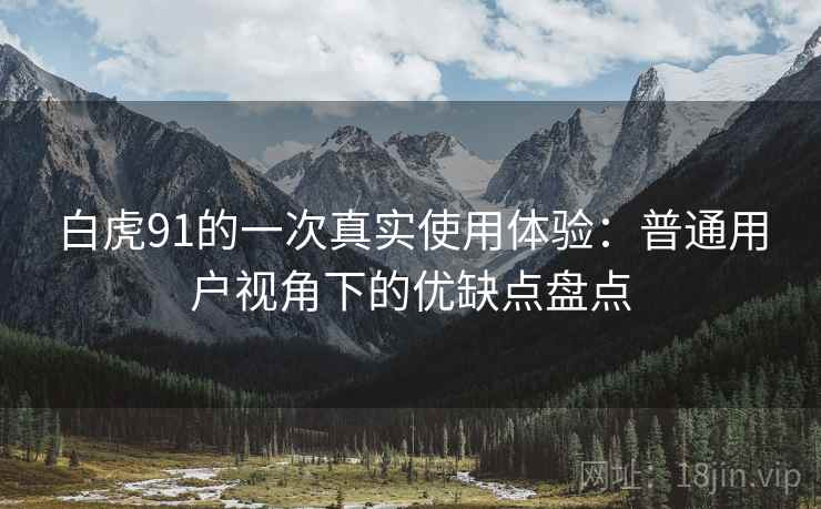 白虎91的一次真实使用体验：普通用户视角下的优缺点盘点