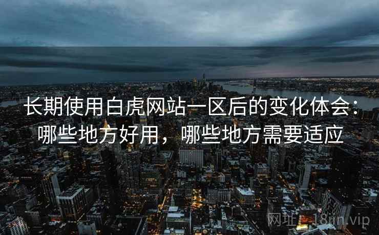 长期使用白虎网站一区后的变化体会：哪些地方好用，哪些地方需要适应
