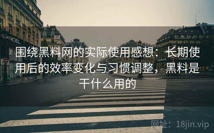 围绕黑料网的实际使用感想：长期使用后的效率变化与习惯调整，黑料是干什么用的