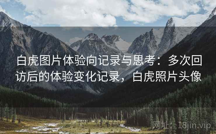 白虎图片体验向记录与思考：多次回访后的体验变化记录，白虎照片头像